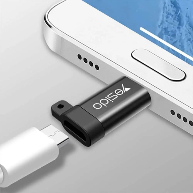 Adaptateur Micro USB Femelle vers USB-C Mâle